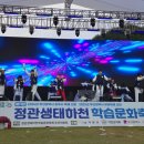 무혼 태권도 이미지