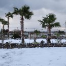 아르케하우스 민박 이미지