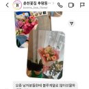보니비플라워 이미지