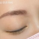 눈숲 네이버블로그