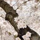 함께 뛰노는 스포츠 이미지