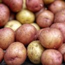 양수농장2 이미지