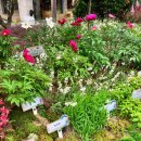 약령시서문공영주차장 이미지