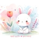 나만의 에코 북커버 만들기 이미지