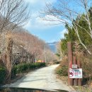 계곡캠핑펜션 | 전북 완주 오토캠핑장 전주 근교 계곡캠핑장 대둔산캠핑펜션 오토캠핑장 벚나무 9,10 이용후기