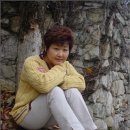 [박상희 프로필]