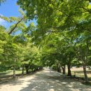 회문산궁전휴양지 이미지