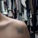 코리아 짐 | [공지] [웨딩] SFX 코리아 타투스프레이 웨딩촬영 사용 후기 (갈라짐 / 지워짐 / 이질감)