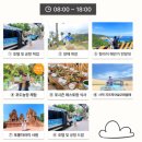 자라목장 | 나트랑여행) 판랑사막투어일정 지프투어 사막모래썰매 후기 / 포롱자라이사원 양떼목장 포시즌레스토랑