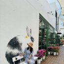 매일상회 이미지