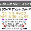 큐사랑 네이버블로그