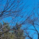 금강 자전거길 이미지