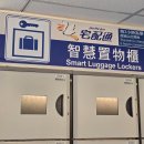 성석동 2185-1 정류장 | 20250620 타오위안 국제공항(桃園國際機場) 도착 + 물품보관함에 짐 맡기기