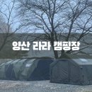 경남 양산 반려견 동반가능 라라캠핑장 A7,8,9 사이트 이용후기 (feat. 쿠디 파밀리아 킨 카키, 몬테라...