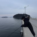 볼락 밤낚시 체험 | [남해 볼락밤낚시체험] 아이와 즐길 수 있는 방파제낚시