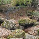 장성공원2 이미지