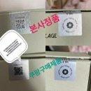 비바 인셀덤
