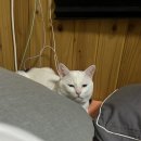 남원서진여자고등학교 | aBcde