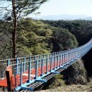 출렁다리 진입로 Daum카페