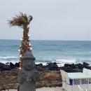 오로지애월 이미지