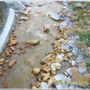 강원랜드골프클럽 이미지