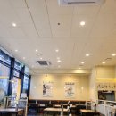 우원포장 | [양재역 돈까스 맛집] 우원돈까스 양재역점, 점심세트 돈까스 냉모밀 후기 내돈내산