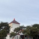 커피에반하다(김천혁신점) | 김천 혁신도시 화덕피자 [나폴리 언덕] 솔직후기