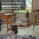 밀크숑 애견샵 | 커피 디저트 모두 맛있는 줄라이앤어거스트 / 제주 애견동반 카페 추천 / 유럽감성 인스타맛집