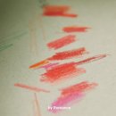 복고풍로맨스의 쉽게 그리는 꽃그림 | &#34;앵두&#34; 색연필 일러스트 by 복고풍 로맨스