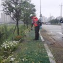 온양3동 모종로 이미지