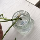 다빈스 티스토리
