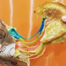 레인보우 토스트 이미지