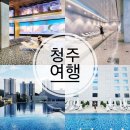 어반타일 맞은편 | 청주 실내 가볼만한곳 청주 5성급 호텔 수영장 호캉스 엔포드호텔 추천
