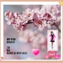 라일락 - 가평군 행자골길 36-19 | 라일락