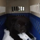 중앙공원로 이미지