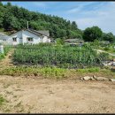 수우농장 이미지