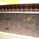 세븐일레븐 강남대점 이미지