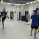 히트앤핏 이미지