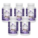 이엔에스 이미지