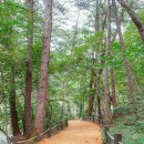 수타사로 이미지