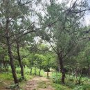 염소사육장 이미지