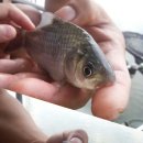 한샘청수낚시터 이미지