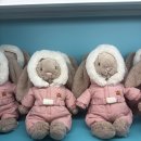 젤리캣 | [성수] 젤리캣 팝업 웨이팅 / 예약 / 후기