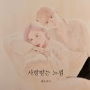 페트리커 이미지