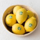 레몬 이미지