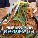 고기원칙 가산하스모나점 | 뼈탑이 산을 만드는 역대급 비주얼 감자탕 독산역 맛집 청년감자탕