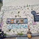 조선키네마 주식회사 이미지