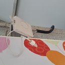 신덕초교 이미지