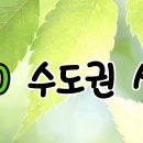 08/16(일) 비삼관 초보산행[원초이대장님] 이미지