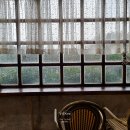 더로맨틱 이미지